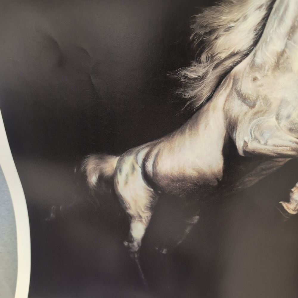 Sonia Torres Limited Edition Numbered, Signed Arabian Front Horse Artist's Print - Picture 4 of 8